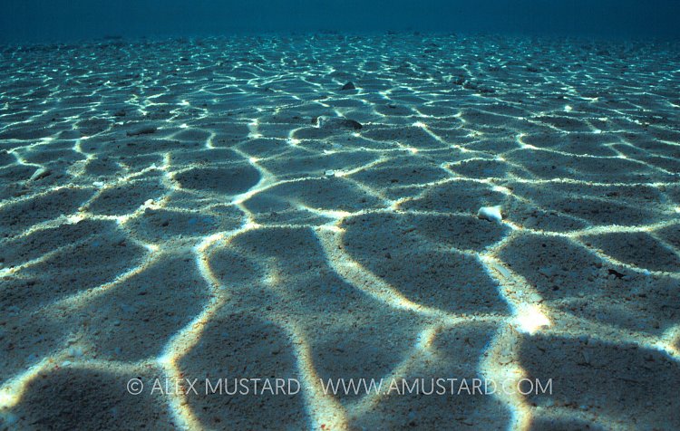 Sunlight On Seabed. Malaysia