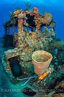 Doc Polson Bridge. Cayman Islands