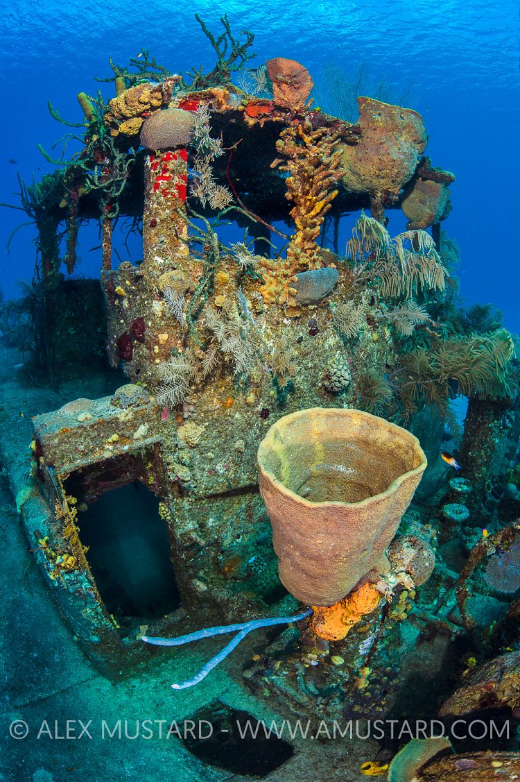 Doc Polson Bridge. Cayman Islands