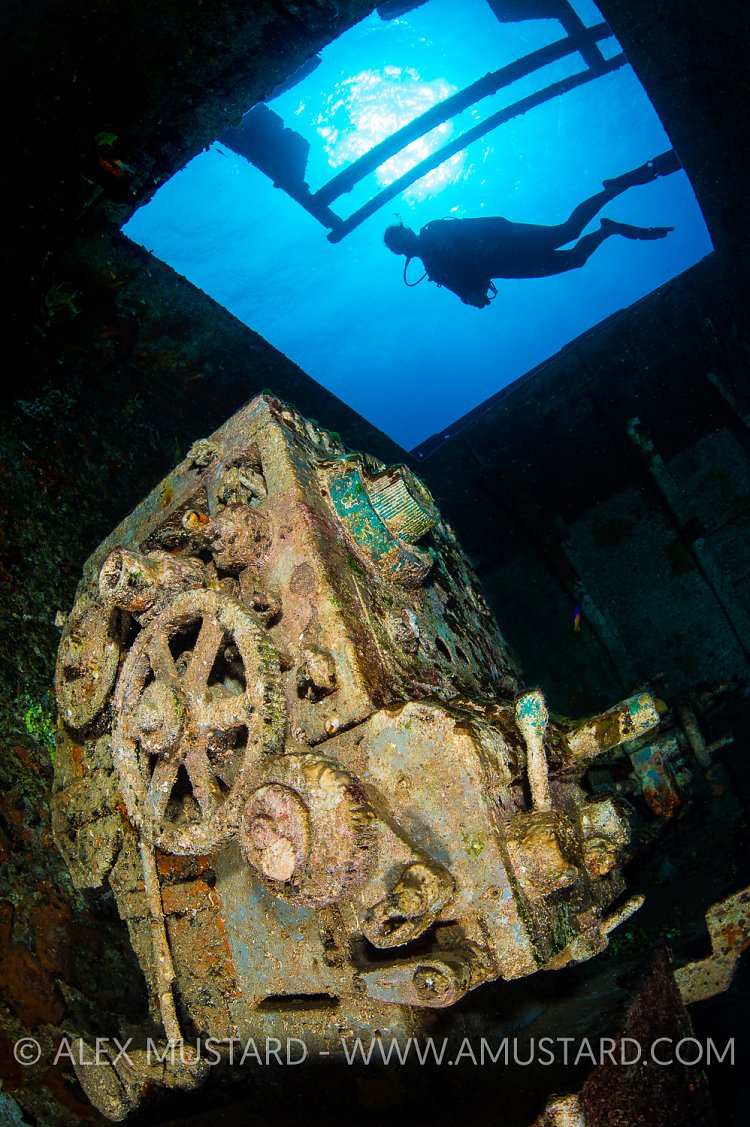 Kittiwake Laithe With Diver. Cayman Islands