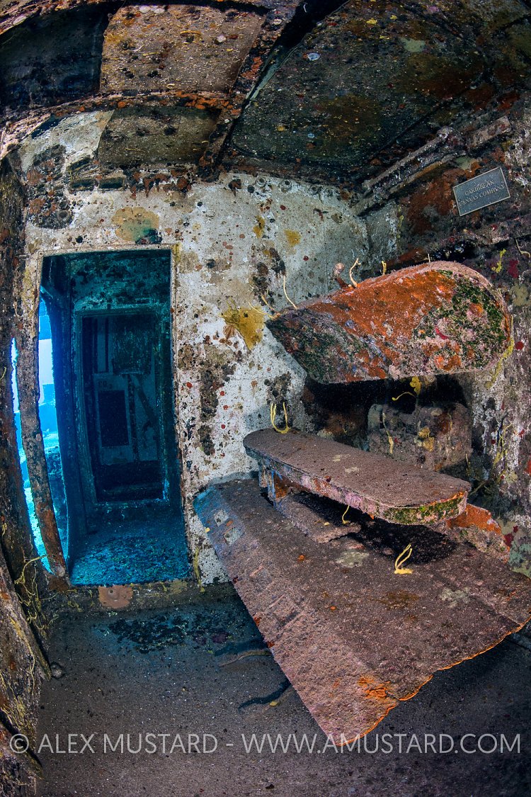 Kittiwake Inside. Cayman Islands