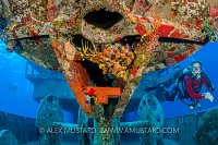 Diving The Kittiwake. Cayman Islands