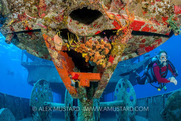 Diving The Kittiwake. Cayman Islands
