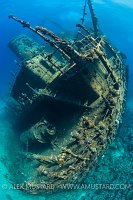 Giannis D Stern. Egypt