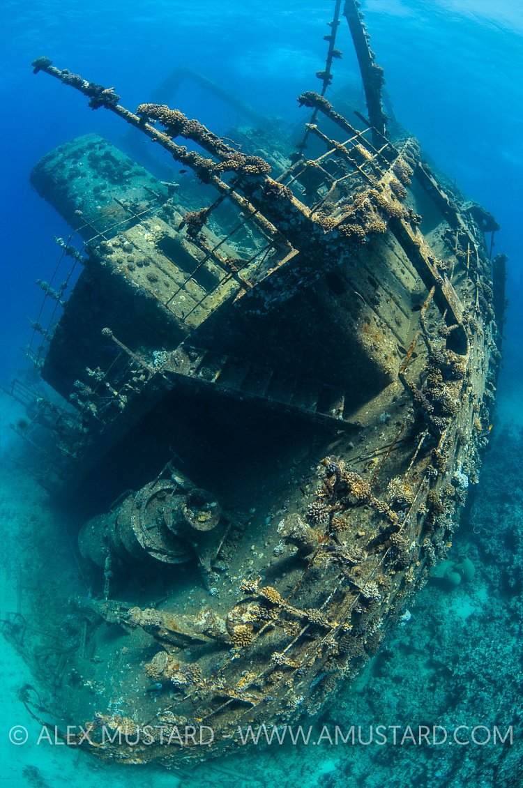 Giannis D Stern. Egypt