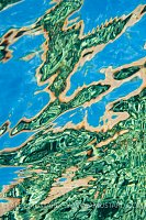 Reef Reflections. EGypt.