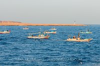 Fishermen Gather. Egypt