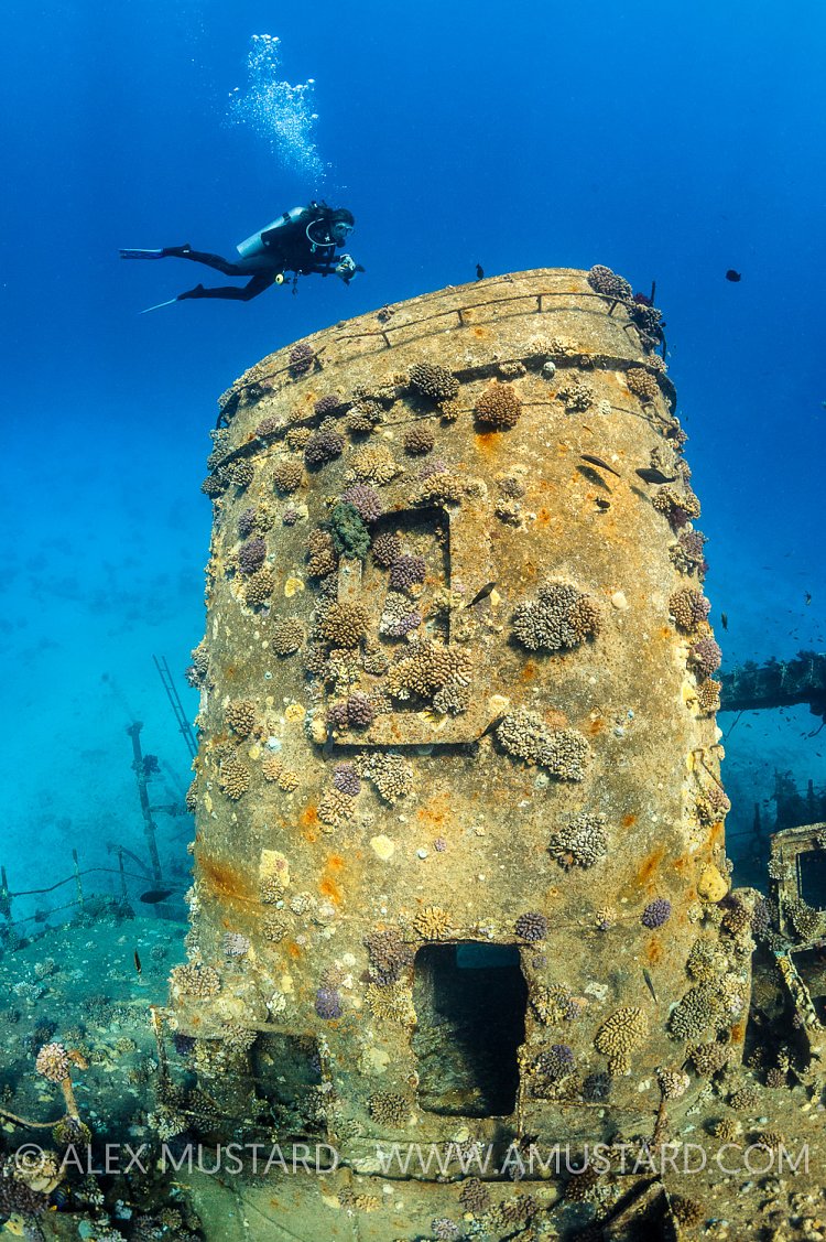 Diver Over Wreck, Egypt.