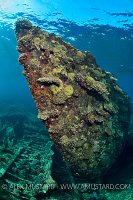 Chrisoula K Bow, Egypt.