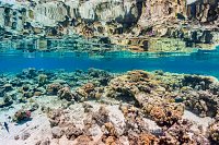 Shallow Reef in Calm Conditions, Egypt.