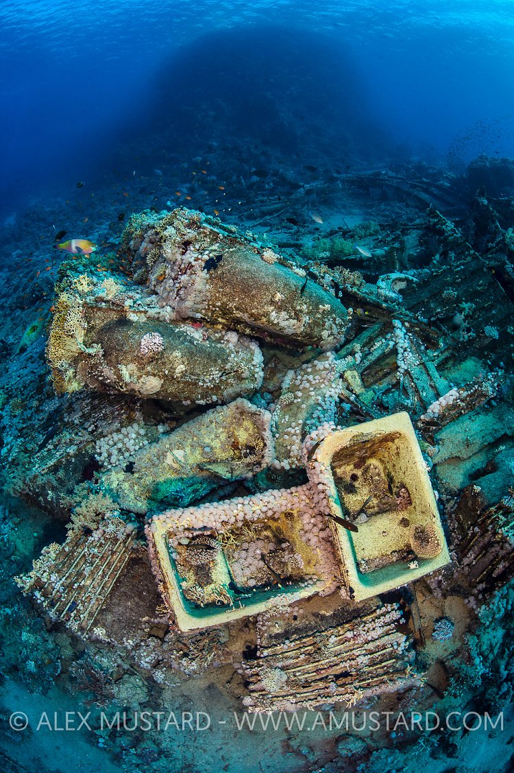 Wreckage of Bath Tubs, Egypt.