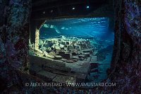 Tiles On Wreck, Egypt.