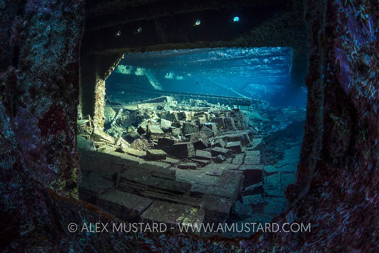 Tiles On Wreck, Egypt.