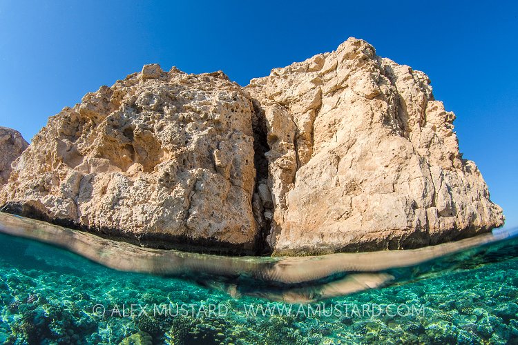 Shark Observatory, Egypt.