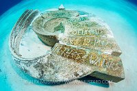 Columbus Monument. Bahamas