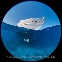 Beneath The Bow. Egypt