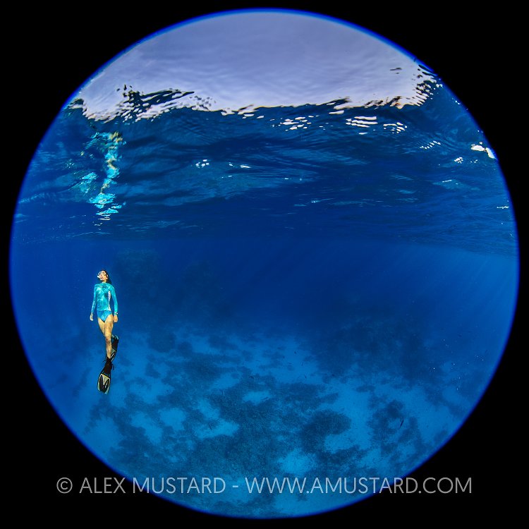 Returning to the Surface. Egypt