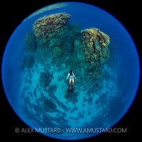 Snorkelling Towards The Reef. Egypt
