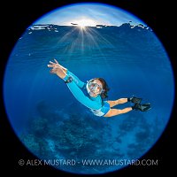 Snorkelling In The Blue. Egypt