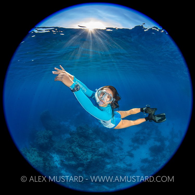 Snorkelling In The Blue. Egypt