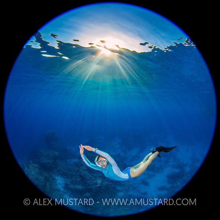 Snorkelling Beneath Sun. Egypt