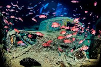 Thistlegorm Truck. Egypt
