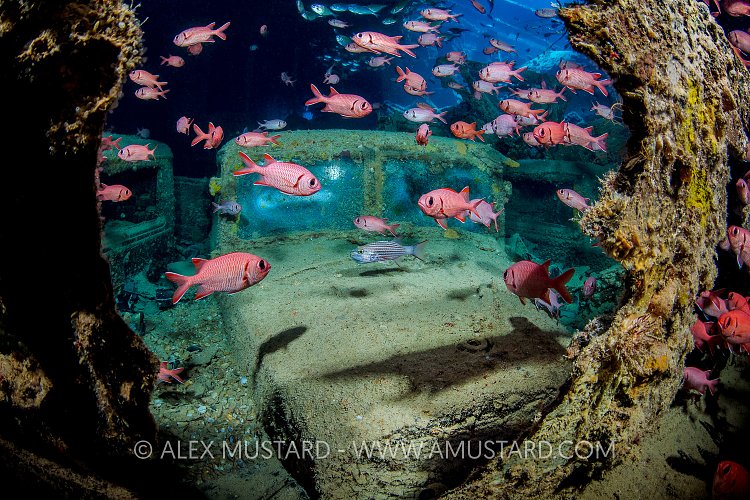 Thistlegorm Truck. Egypt