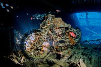 Thistlegorm Motorbike. Egypt