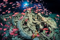 MotorBikes With Soldierfish. Egypt