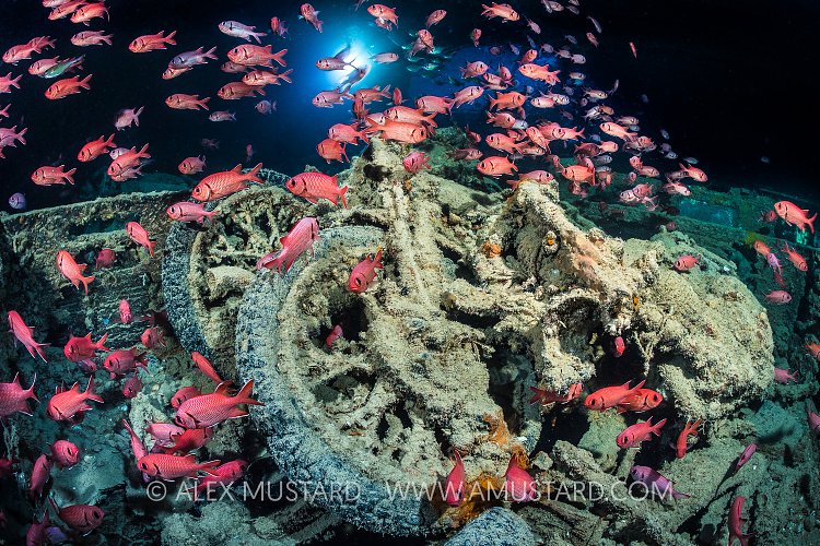 MotorBikes With Soldierfish. Egypt