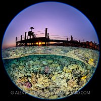 Coral Reef At Sunset. Egypt