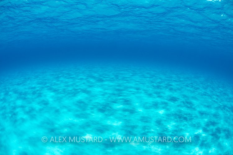 Shallow Seas. Bahamas