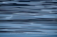 Surface Reflections. Canada