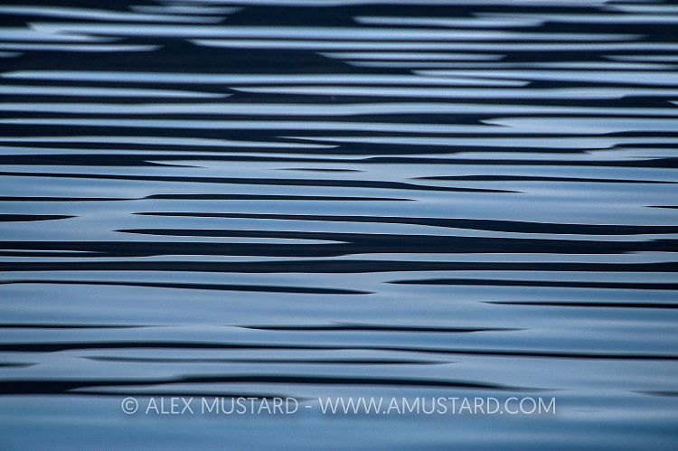 Surface Reflections. Canada