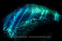 A diver (Cesar Augusto Alejos) explores a freshwater cenote (or limestone sinkhole) swimming through beams of light filtered through the forest above. Garden Of Eden Cenote, Puerto Aventuras, Quintana Roo, Yucatan, Mexico.