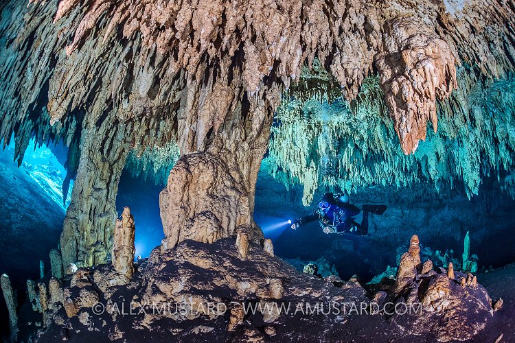Exploring The Cenotes. Mexico