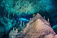 Exploring The Cenotes. Mexico