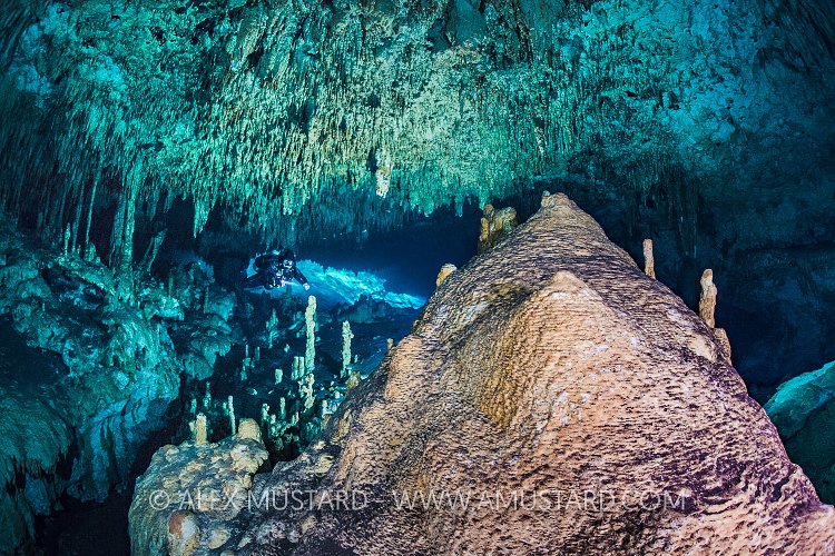 Exploring The Cenotes. Mexico