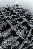 Giannis D Hull. Egypt