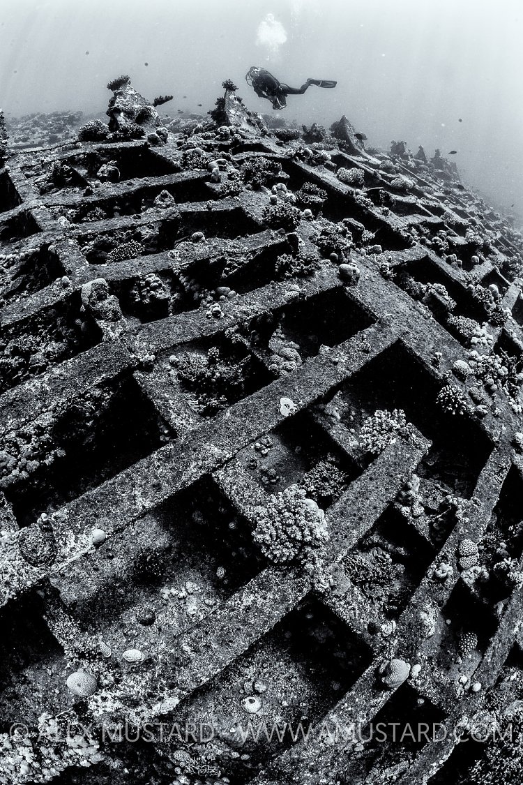 Giannis D Hull. Egypt