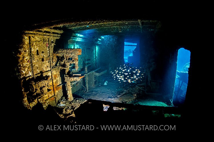 Chrisoula K Workshop. Egypt