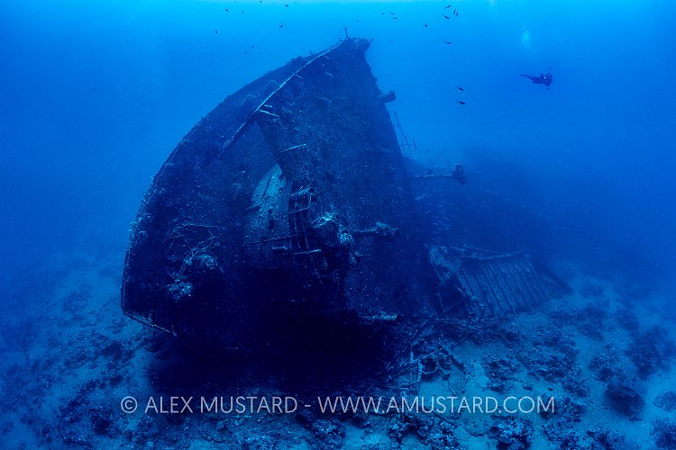 Kimon M Stern. Egypt