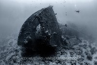 Kimon M Stern. Egypt