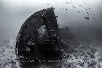 Kimon M Stern. Egypt