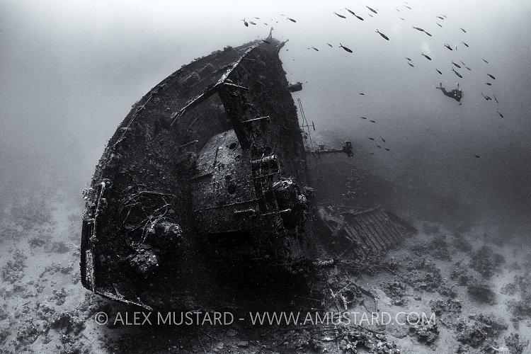 Kimon M Stern. Egypt