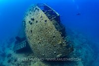 Kimon M Stern. Egypt