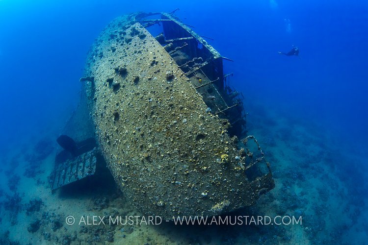 Kimon M Stern. Egypt