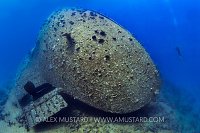 Kimon M Stern. Egypt