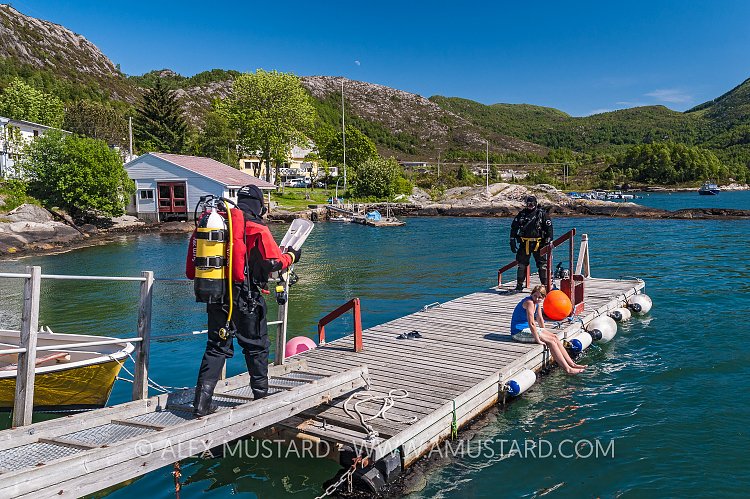 Preparing To Dive. Norway
