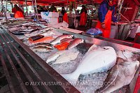 Fish For Sale. Norway